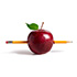Edu Training icon