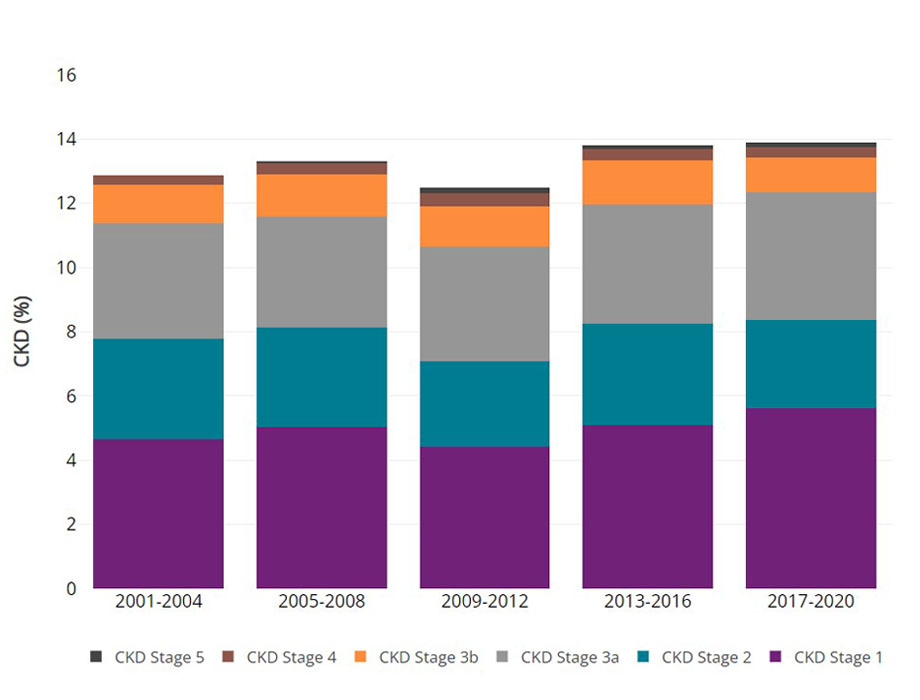 Prevalence of CKD Stages 1-4 by Year