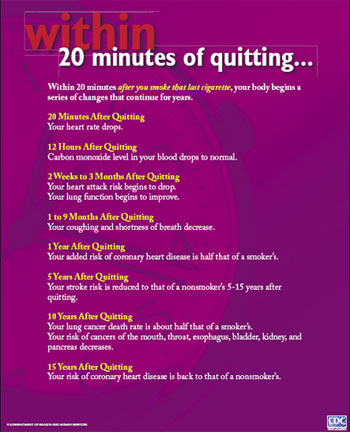 2004 SGR - Within 20 Minutes of Quitting (Flat Poster - English)