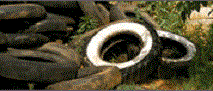 Photos of various mosquito breeding sites