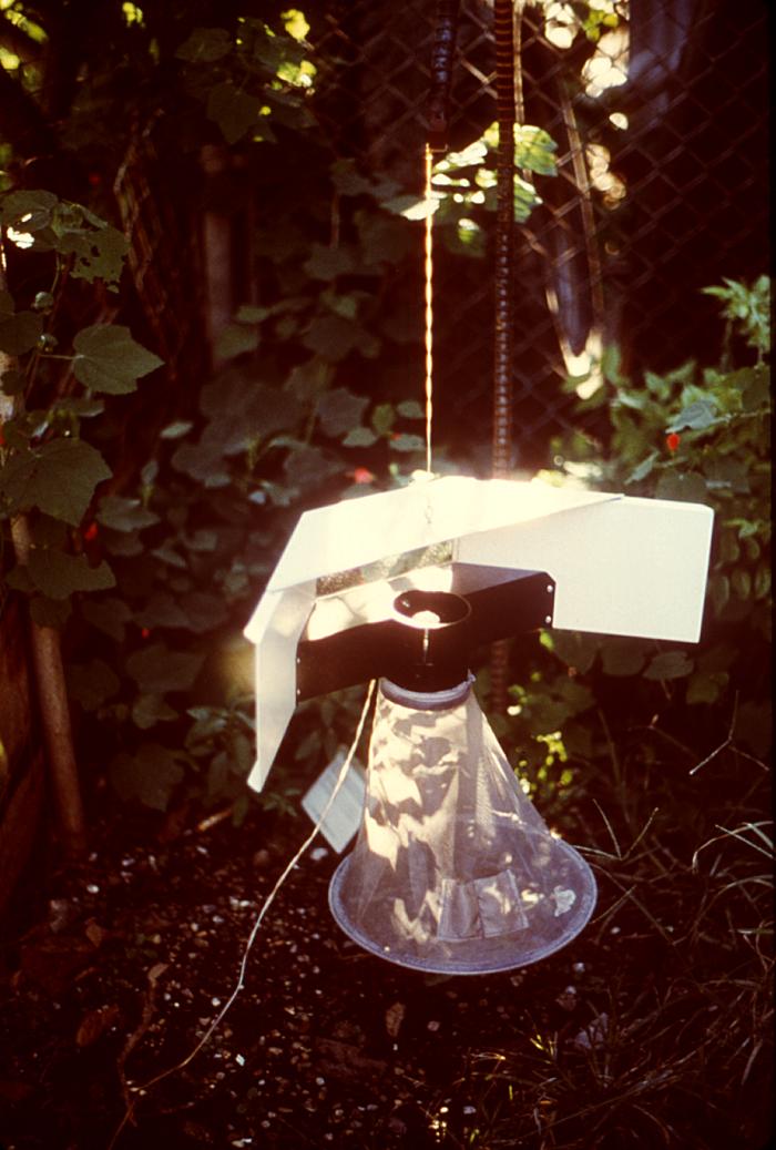 Phil Image 7004