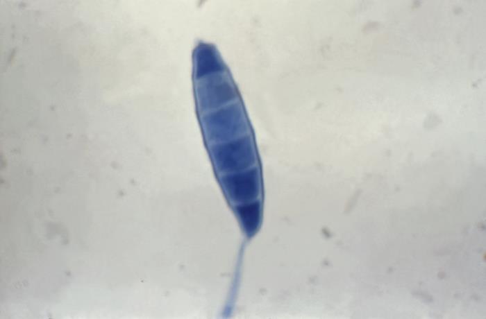 Phil Image 22301
