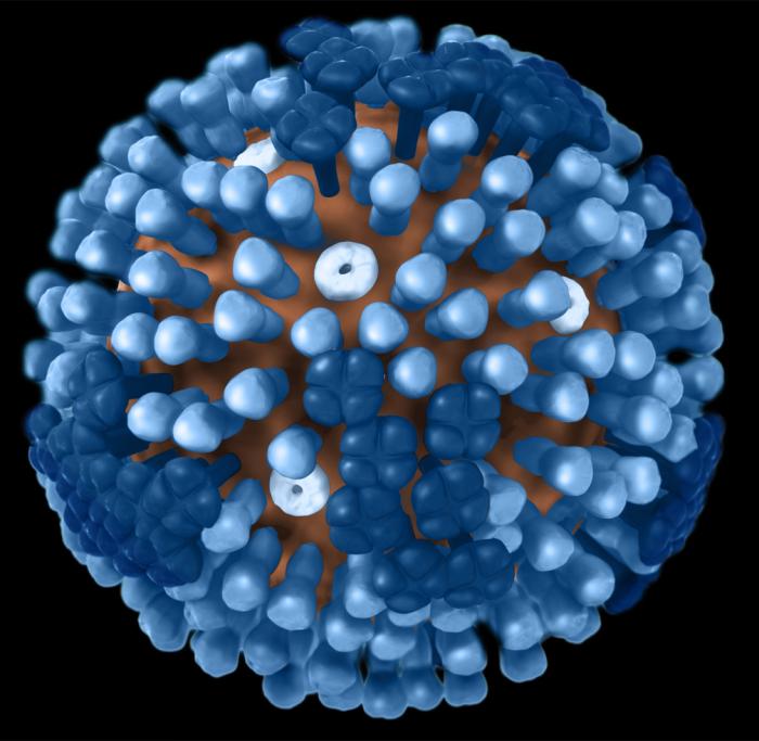 Protons Virus Details - Public Health Image Library(PHIL)