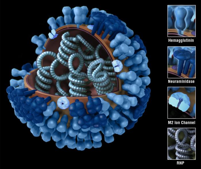 Protons Virus Details - Public Health Image Library(PHIL)