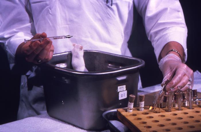 Ladle Inoculation Details - Public Health Image Library(PHIL)