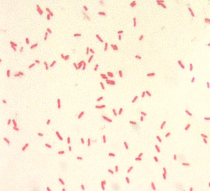 Details - Public Health Image Library(PHIL)