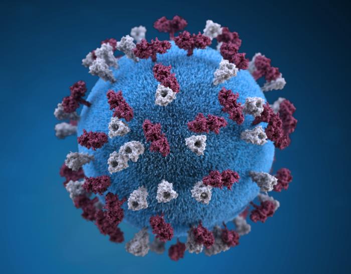 3D illustration of a measles virus particle, the pathogen behind Nashville's first confirmed case since 2005. Credit: CDC/PHIL.