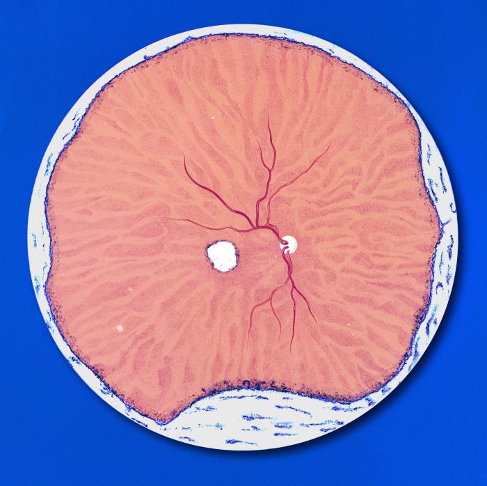 Details - Public Health Image Library(PHIL)