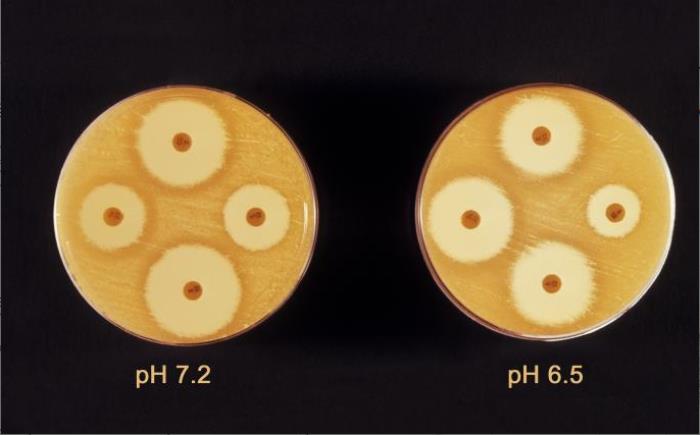 Details - Public Health Image Library(PHIL)