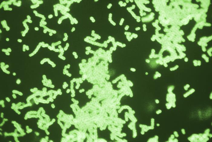 Details - Public Health Image Library(PHIL)