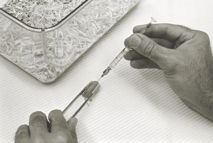Labal Injection Details - Public Health Image Library(PHIL)