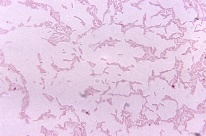 Details - Public Health Image Library(PHIL)