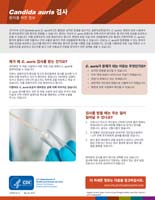 Candida auris 검사